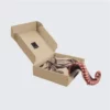 Custom swimwear packaging box with tropical design.