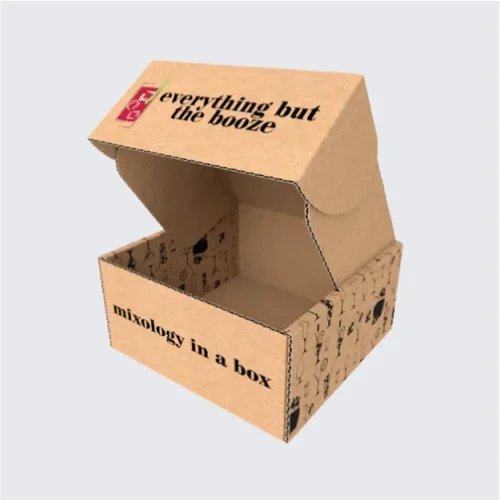 Ear lock mailer box with secure closure mechanism.